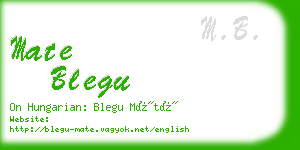 mate blegu business card